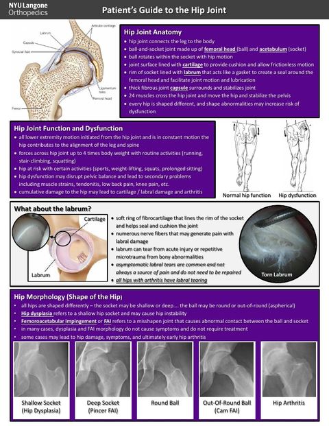 Preview of the Patient’s Guide to the Hip Joint handout